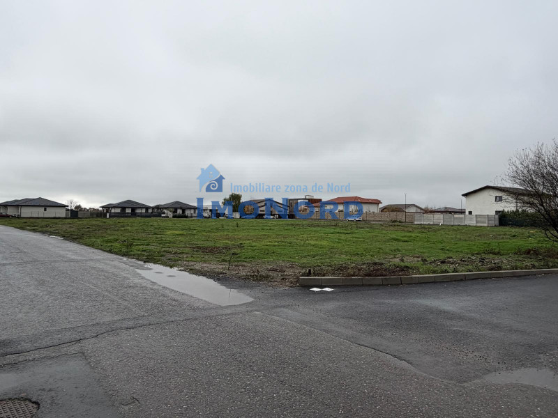 Tamasi, Corbeanca – teren 9838 mp