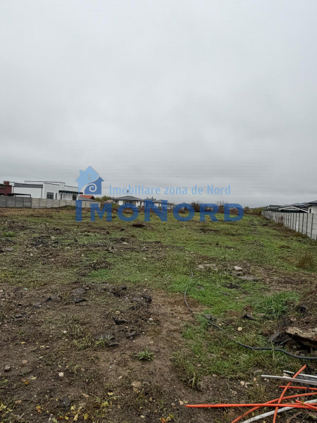 Tamasi, Corbeanca – teren 9838 mp