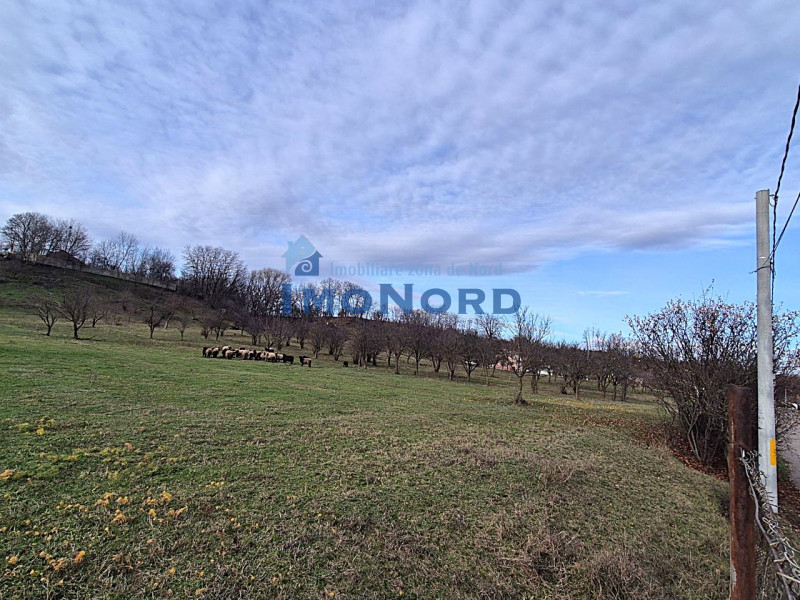 Valenii de Munte | 9123 mp | deschidere 45