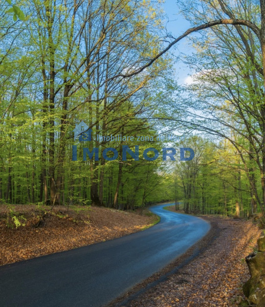 Vânzare teren Slănic Prahova- Platoul Teisani