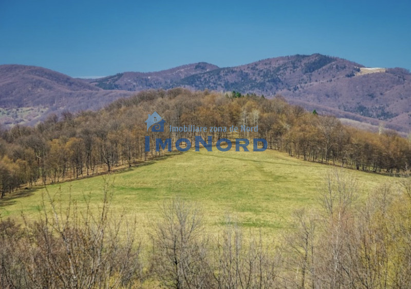 Vânzare teren Slănic Prahova- Platoul Teisani