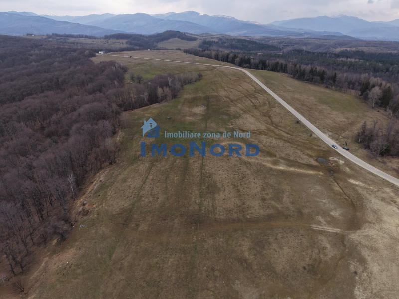 Vânzare teren Slănic Prahova- Platoul Teisani