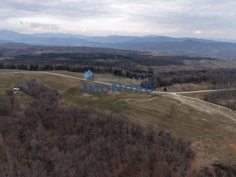 Vânzare teren Slănic Prahova- Platoul Teisani