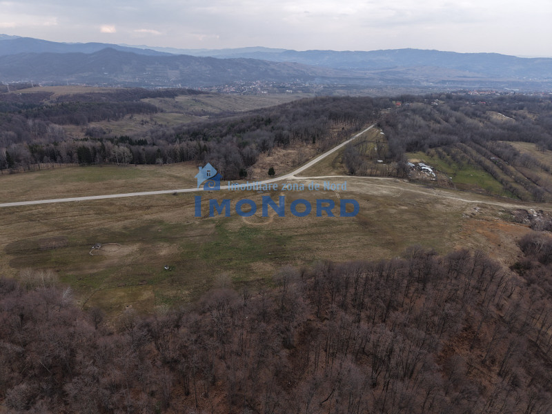 Vânzare teren Slănic Prahova- Platoul Teisani