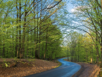 Vânzare teren Slănic Prahova- Platoul Teisani