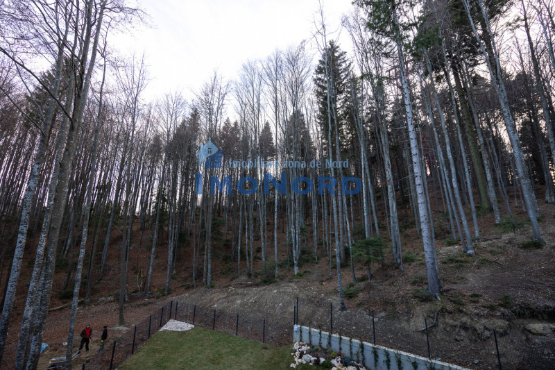 FORESTI SINAIA – Duplex Penthouse | Lux autentic la înălțimea muntelui 