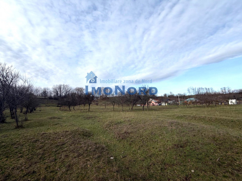 Teren intravilan  Vălenii de Munte – 9.123 mp | Deschidere 45 ml | Lângă râul Te