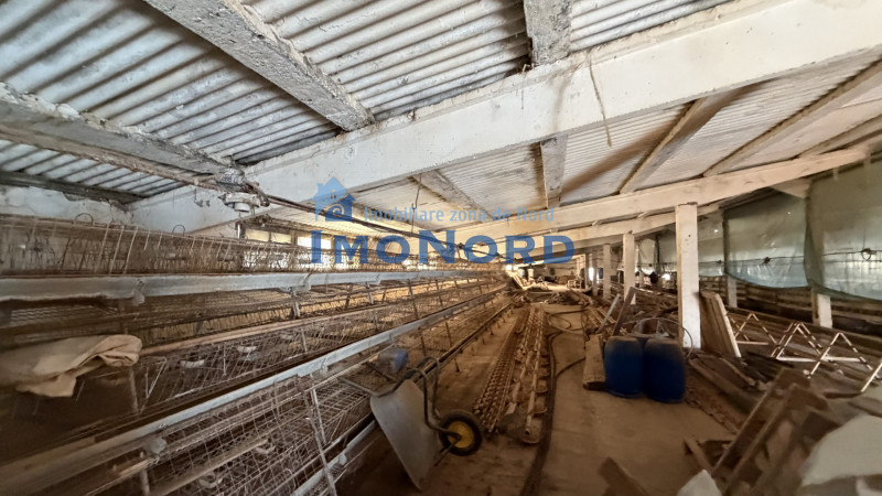 🏭 Hala industrială de vânzare în Beclean, Bistrița-Năsăud – 770 mp teren + cons