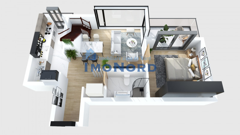 Dacia-Mosilor duplex cu vedere Sud