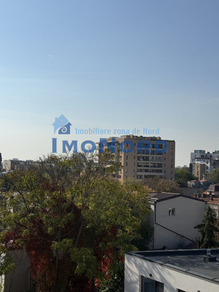 Dacia-Mosilor duplex cu vedere Sud
