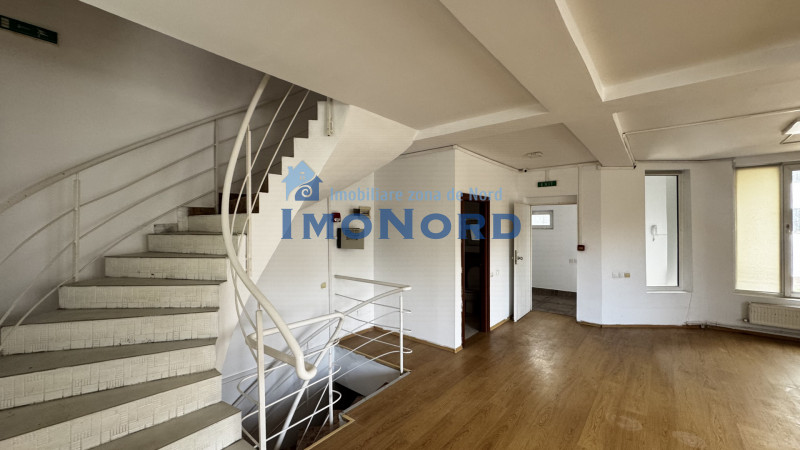 Vânzare vila 12 camere Sisești