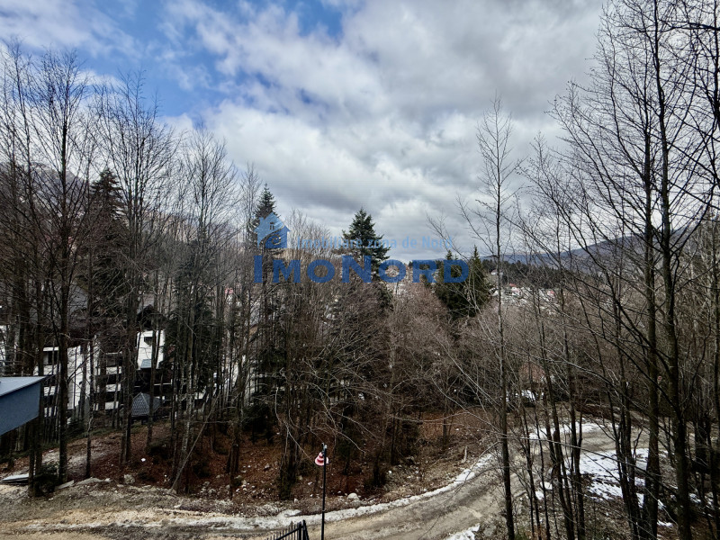FORESTI SINAIA – Penthouse | Lux autentic la înălțimea muntelui 
