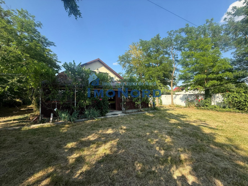 Vânzare proprietate Valea Argovei