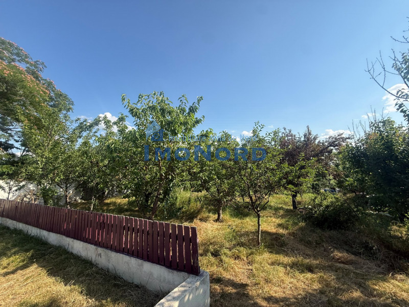 Vânzare proprietate Valea Argovei