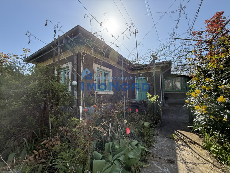 Casa cu gradina pe o strada linistita