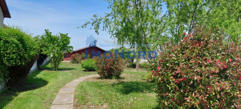 Vilă cu piscină și grădină spectaculoasă, pe teren de 2.649 mp