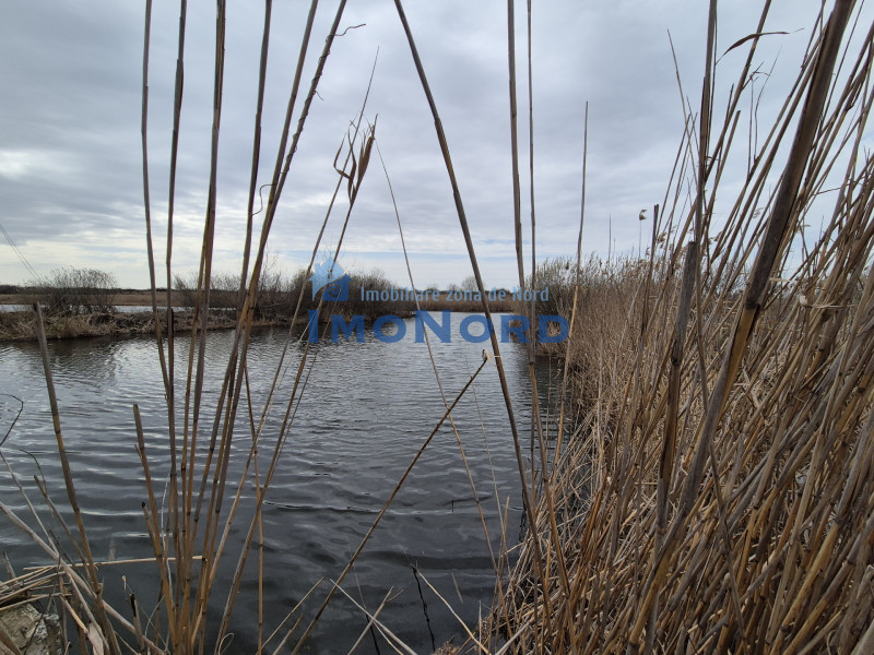 Izvorani - Teren cu deschidere la lac 
