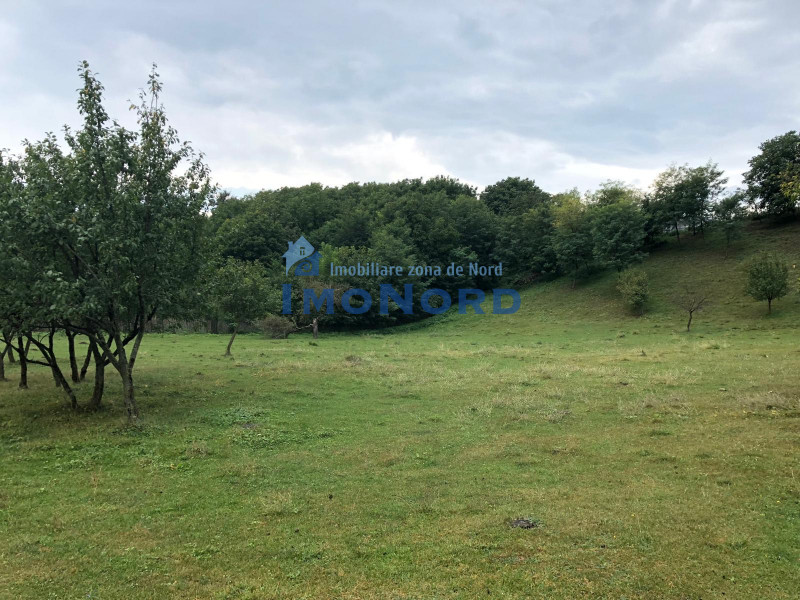 Teren intravilan Vălenii de Munte – 3.000 mp Ideal investiție sau locuinta