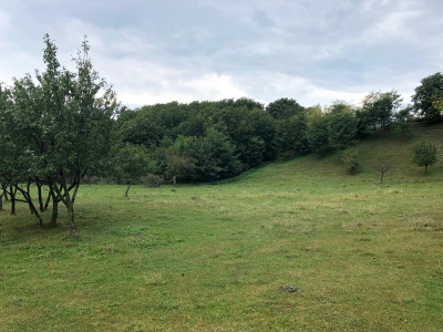Teren intravilan Vălenii de Munte – 3.000 mp Ideal investiție sau locuinta