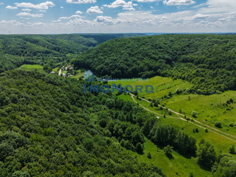 Teren Pasune + Arabil - Valea Mare Podgoria Arges