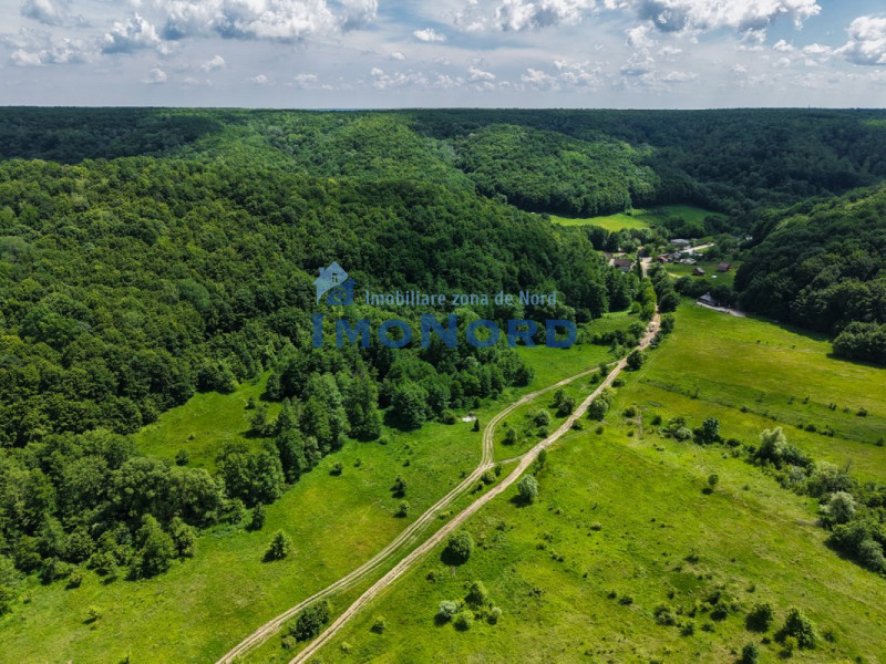 Teren Pasune + Arabil - Valea Mare Podgoria Arges