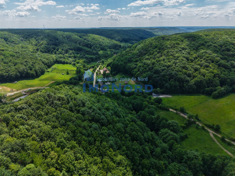 Teren Pasune + Arabil - Valea Mare Podgoria Arges