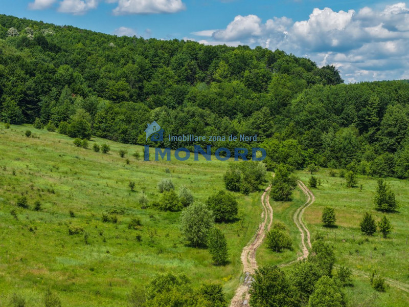 Teren Pasune + Arabil - Valea Mare Podgoria Arges