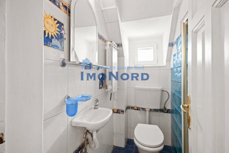 VANZARE VILA 8 CAMERE KISELEFF- PARCUL KISELEF- STR. ELIZA ZAMFIRESCU LEONIDA 