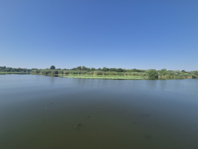 Izvorani - Teren cu deschidere generoasă la lacul Snagov