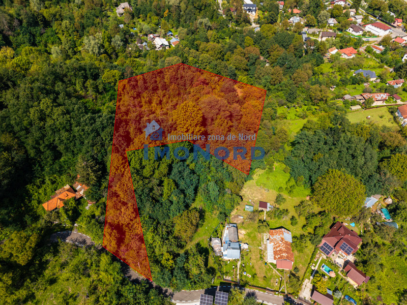Teren 3.886 mp, Breaza - Podu Vadului, 30 m deschidere la asfalt
