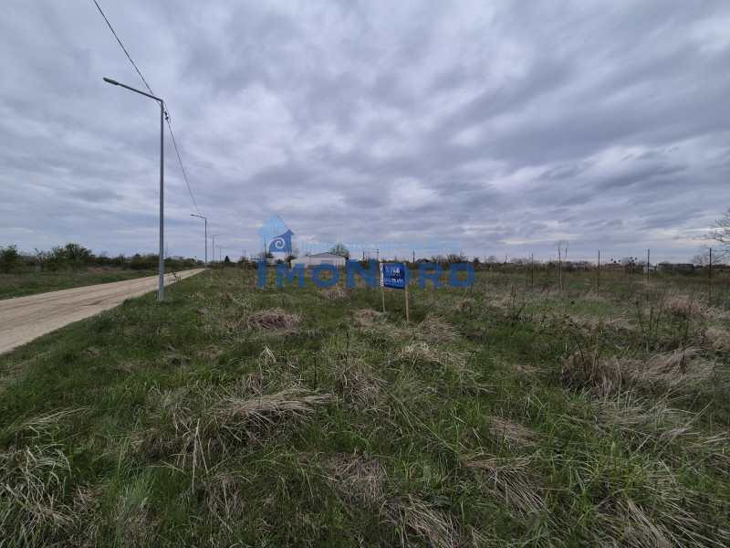 Teren intravilan în Izvorani – Delta Snagov 
