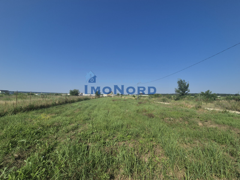 Teren intravilan în Izvorani – Delta Snagov 