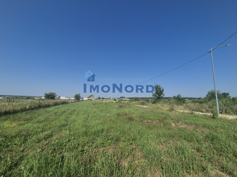 Teren intravilan în Izvorani – Delta Snagov 