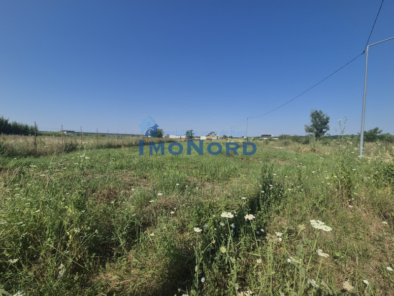 Teren intravilan în Izvorani – Delta Snagov 