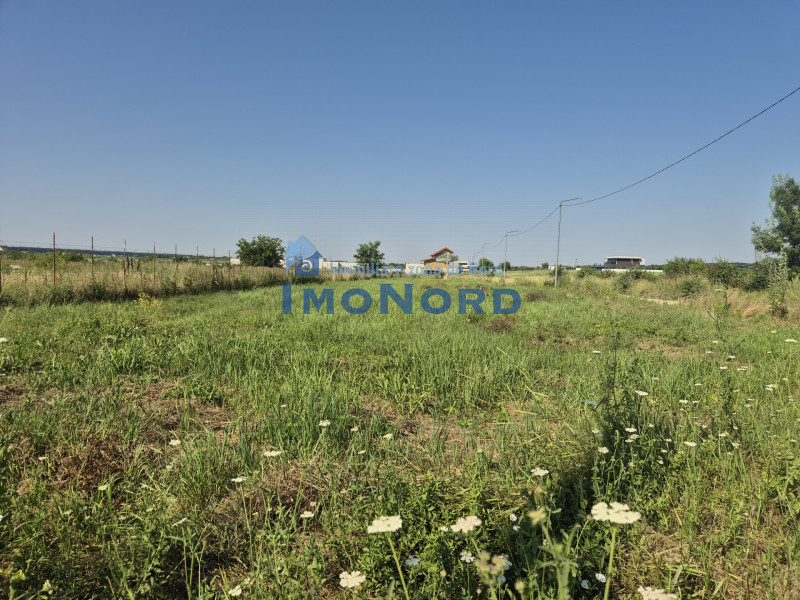 Teren intravilan în Izvorani – Delta Snagov 