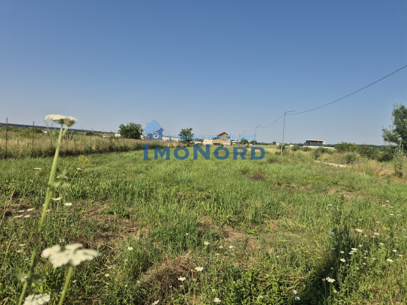 Teren intravilan în Izvorani – Delta Snagov 