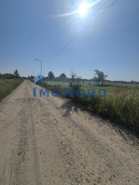 Teren intravilan în Izvorani – Delta Snagov 