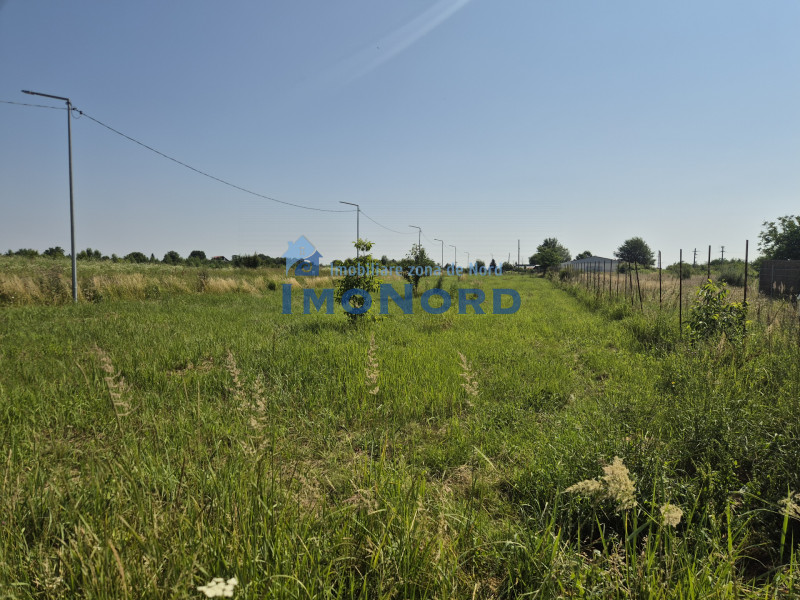 Teren intravilan în Izvorani – Delta Snagov 