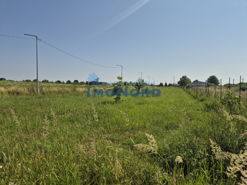 Teren intravilan în Izvorani – Delta Snagov 