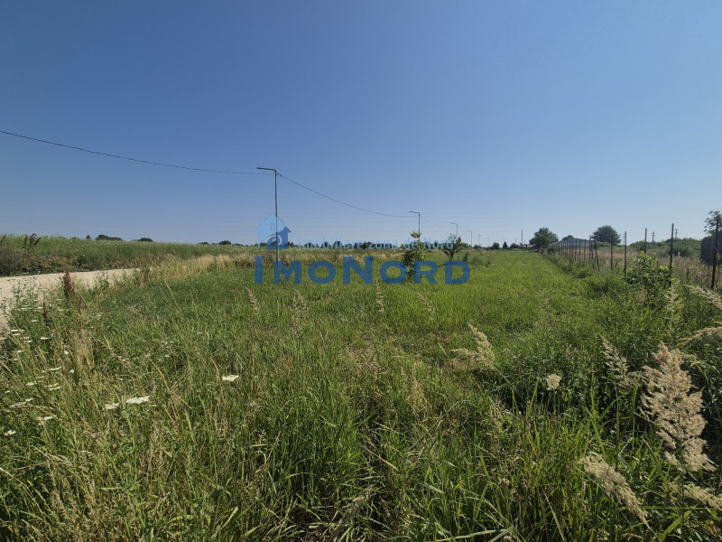Teren intravilan în Izvorani – Delta Snagov 