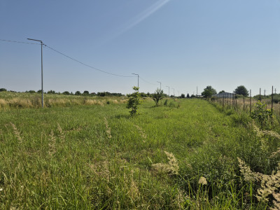 Teren intravilan în Izvorani – Delta Snagov 