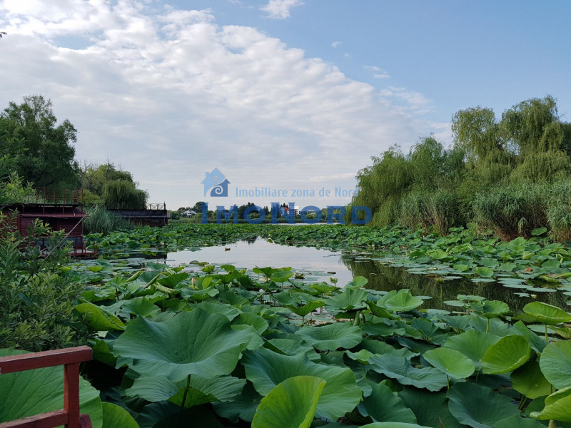 Casa de vacanta cu ponton si iesire la Lac Snagov